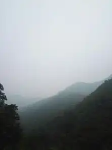 终南山小道士说终南山隐士的故事