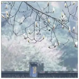 测试一个超长简介的文章