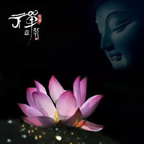 民宿中禅.茶意空间如何设计