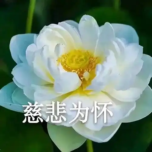 你的微信头像该换了