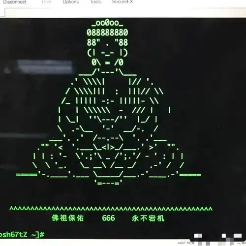 测试一个超长简介的文章