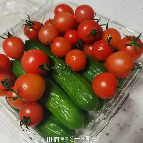 吃货圈互动春意冒头,自家的小菜园已经绿意盎然,想吃啥自己摘
