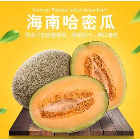 陕西速发哈密瓜新鲜哈密瓜网纹瓜5斤9斤西州蜜甜香瓜水果