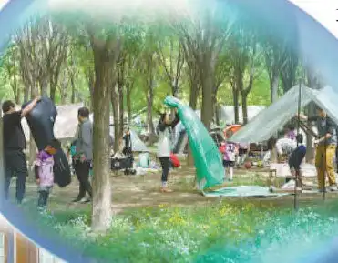 南苑森林湿地再现南囿秋风