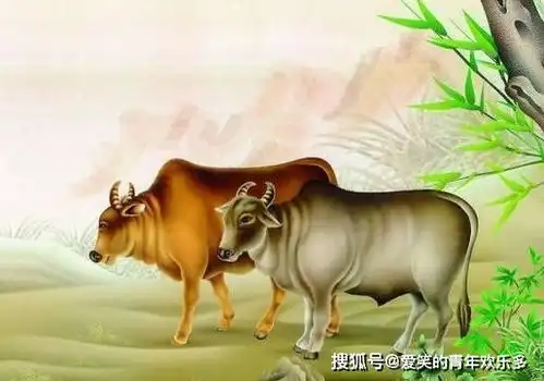 2018狗年吉祥富贵到,这4个生肖女今年嫁人最旺夫