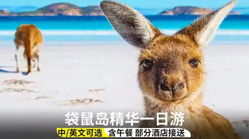 袋鼠岛海豹湾旗舰拱门神奇岩石一日游