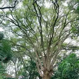 2019浙江大学之江校区门票,杭州浙江大学之江校区游玩攻略,浙江大学之江校区游览攻略路线地址门票价格