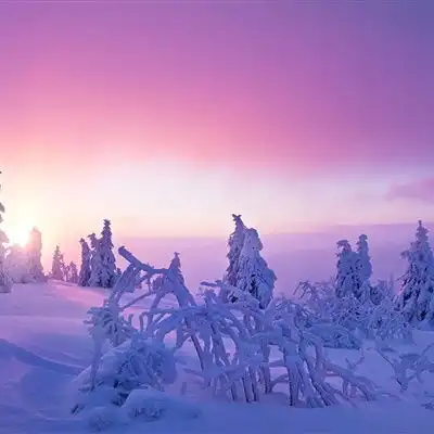 唯美雪景头像,美丽的冬季风光雪景太陶醉了