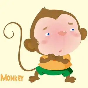 小猴子monkey