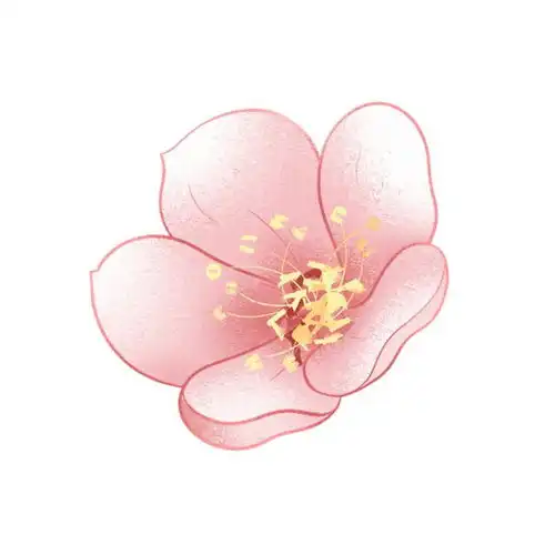 2025年樱花白玉兰花期预报请查收