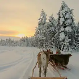 爸爸去哪儿第十一站乘着圣诞老人的麋鹿雪橇,在北极圈内寻找绚丽神秘的北极之光