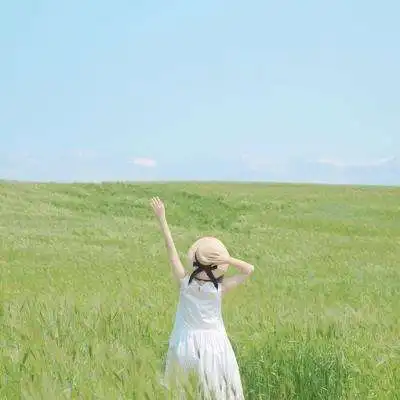 测试一个超长简介的文章