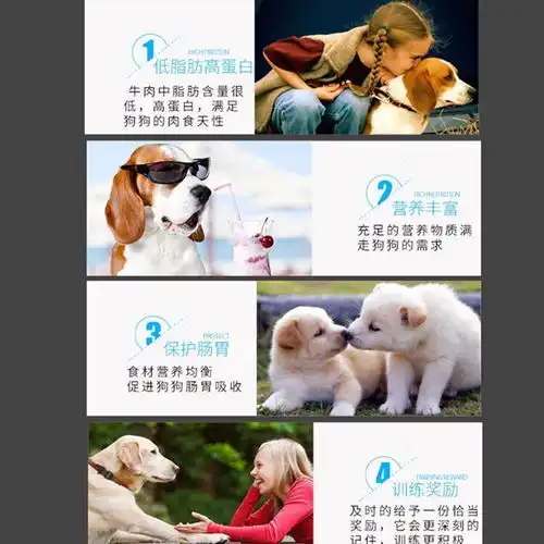 狗狗磨牙棒零食骨头耐咬宠物泰迪狗比熊幼犬成犬补钙除口臭大礼包