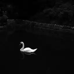 充满禅意的黑白影像,美到极致
