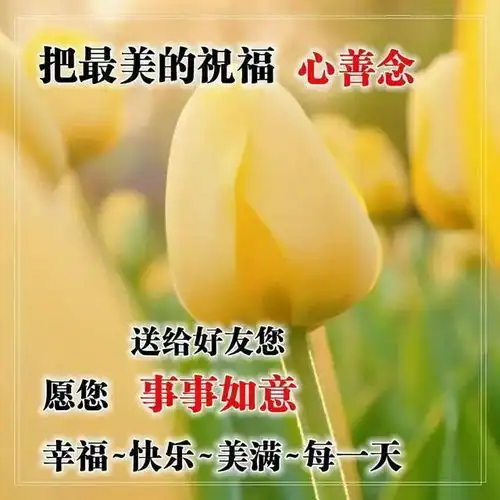 适合做签名的常用早上好祝福图片句子