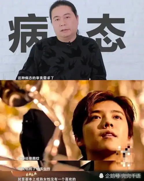 2018年,汪海林节目中公开轰炮鹿晗娘炮公鸡没个公鸡样