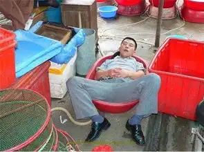 北京瘫算什么老外镜头下的中国睡才叫出神入化