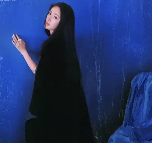 测试一个超长简介的文章
