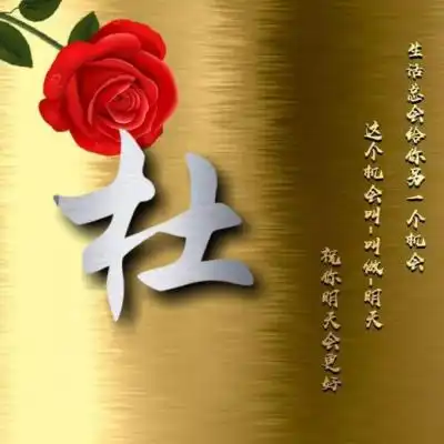 励志姓氏头像,红色玫瑰花金色背景主题