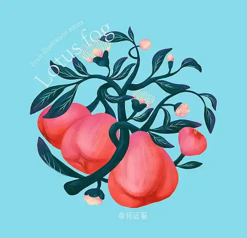水果插画系列莲雾