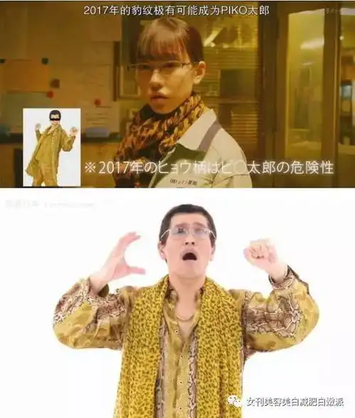 恕我直言,我除了长得好看一无是处