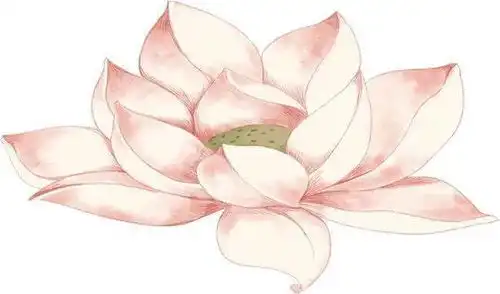 世上最厉害的算命
