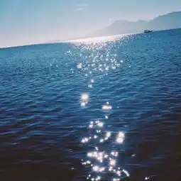 测试一个超长简介的文章