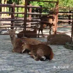 电话,地址,价格,营业时间上海周边游