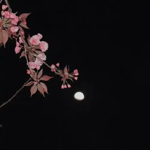 朋友去背景图
