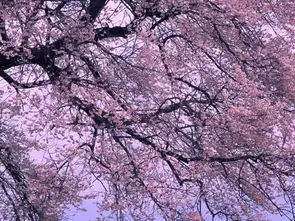 背靠大树无框画图片设计素材高清模板下载33.40mb山水装饰画大全