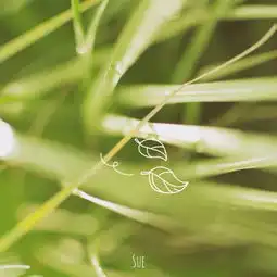 测试一个超长简介的文章