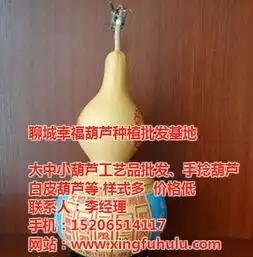 镇宅化煞辟邪葫芦,幸福葫芦工艺品在线咨询,大庆辟邪葫芦