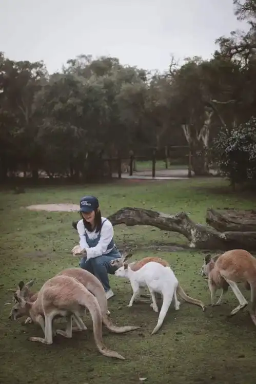 旅行中应该怎么穿藏在澳大利亚旅行中的的搭配秘诀