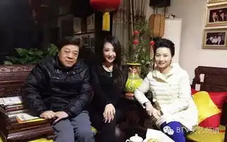 因谢娜刷马桶而引发的豪宅迷案