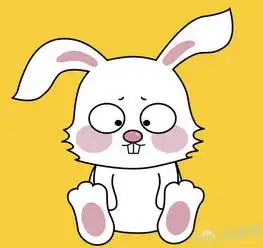 生肖兔2015年12月运势