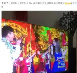 2017鸡年春晚最全吐槽集锦
