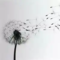 苏小旗有人给我十岁的女儿发了一张色情动图