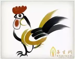 专属十二生肖人的风水