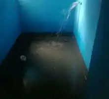 黄页88高清图片