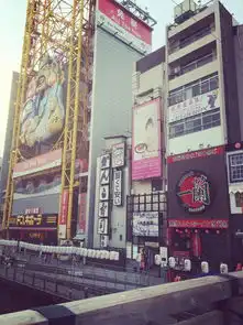 三姑娘自由行京都清水寺大阪环球影城奈良看鹿城崎泡温泉,根本停不下来