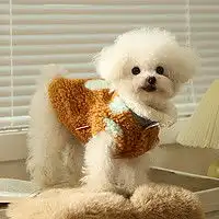嬉皮狗狗狗服饰hipidog嬉皮狗全包四脚防水小狗狗雨衣比熊博美雪纳瑞泰迪衣服小型犬宠物的雨披多少钱