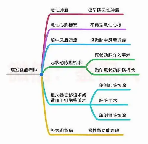 网网红保险