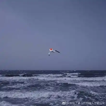 男子穿逍遥法外卫衣被民警检查,果然是逃犯丨节操睡了