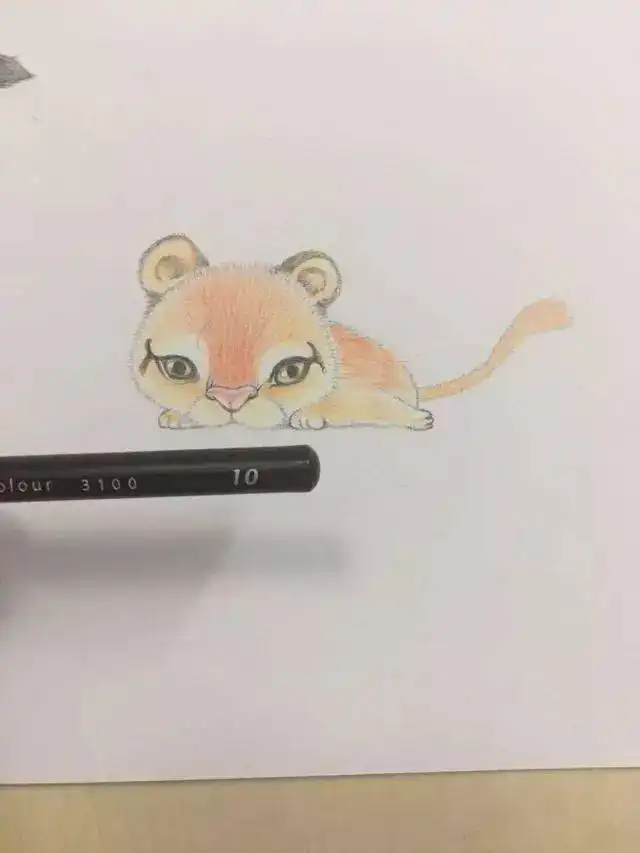 彩铅萌萌小老虎步骤教程