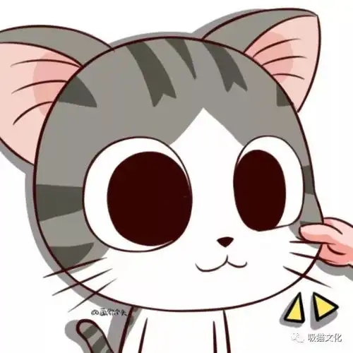 猫咪小常识
