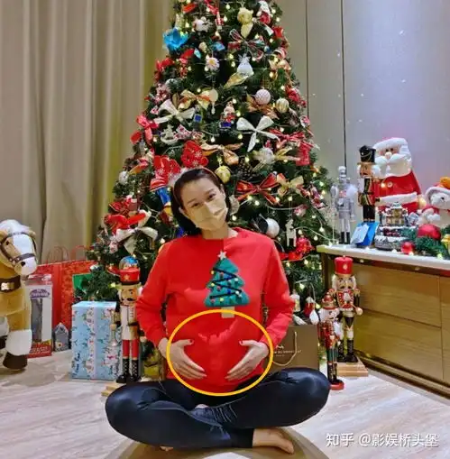 胡杏儿挺孕肚上央视跨年,故意勒一根黑腰带,网友肚子不痛吗