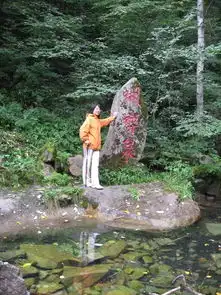 九月的喇叭沟门一大波的蘑菇来袭
