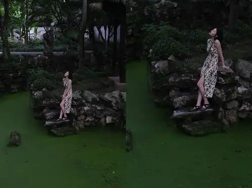 测试一个超长简介的文章