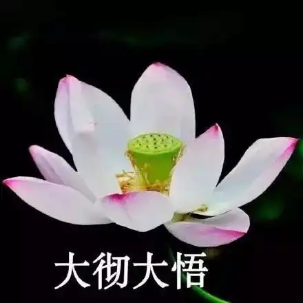 你的年终奖发了吗买买买去