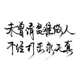测试一个超长简介的文章